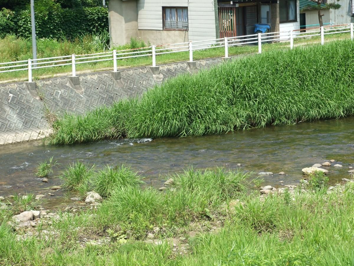 Habitación tradicional (Japanese Style) | Vista al agua