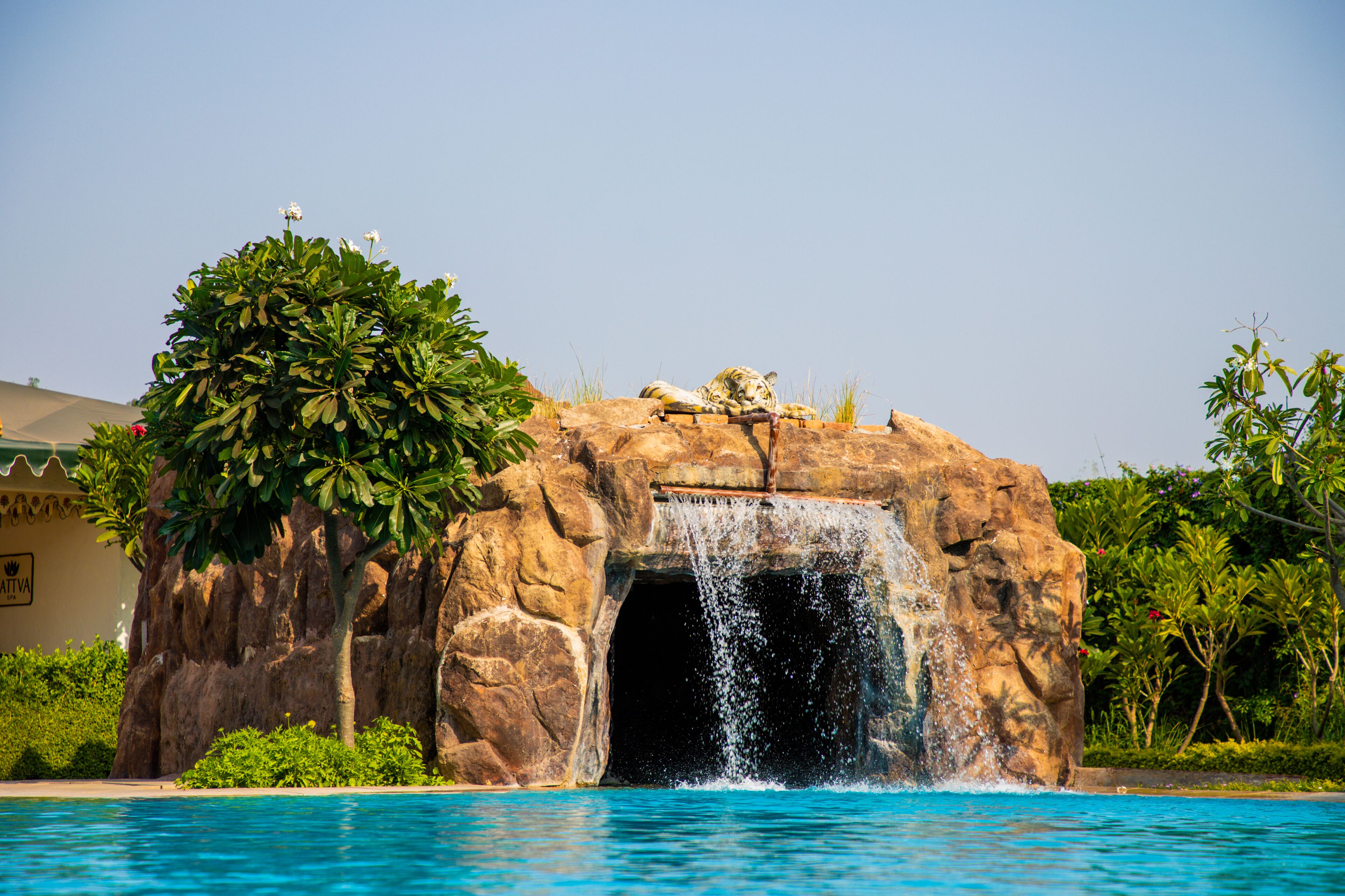Outdoor pool, open 7:00 AM to 7:00 PM, pool umbrellas, pool loungers