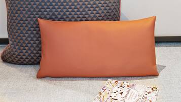 A room with a bookshelf, a wall-mounted geometric decoration, and two patterned pillows.