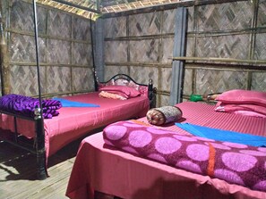 特色装修、特色家居、隔音、免费 WiFi