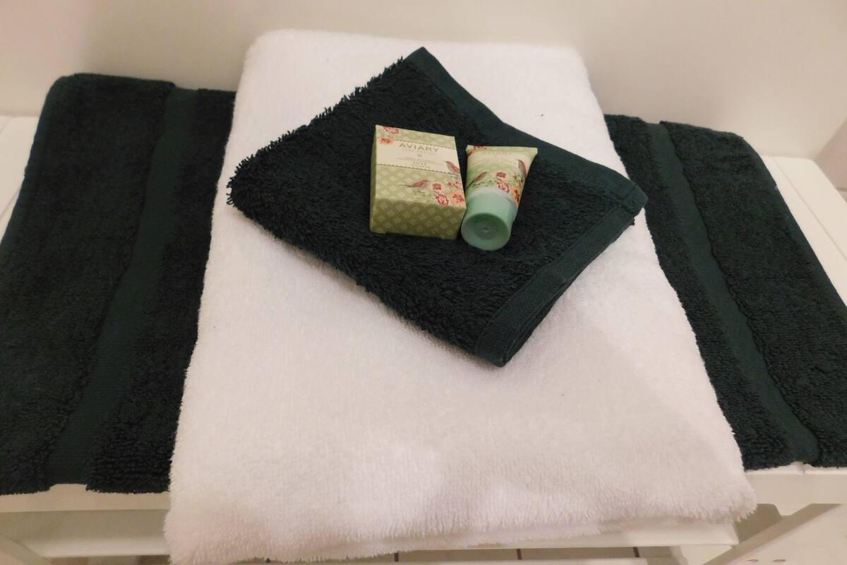 shower, eco-friendly toiletries, hair dryer, slippers