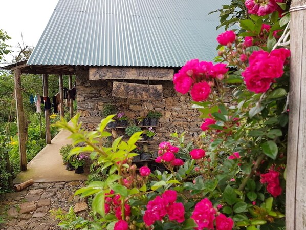 Front of property - Almost Heaven Farms (Suryodaya)