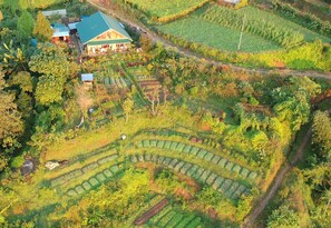 Aerial view - Almost Heaven Farms (Suryodaya)
