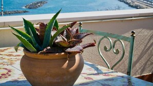 Uma planta em vaso sobre uma mesa de varanda, com vista para o mar e uma ponte.