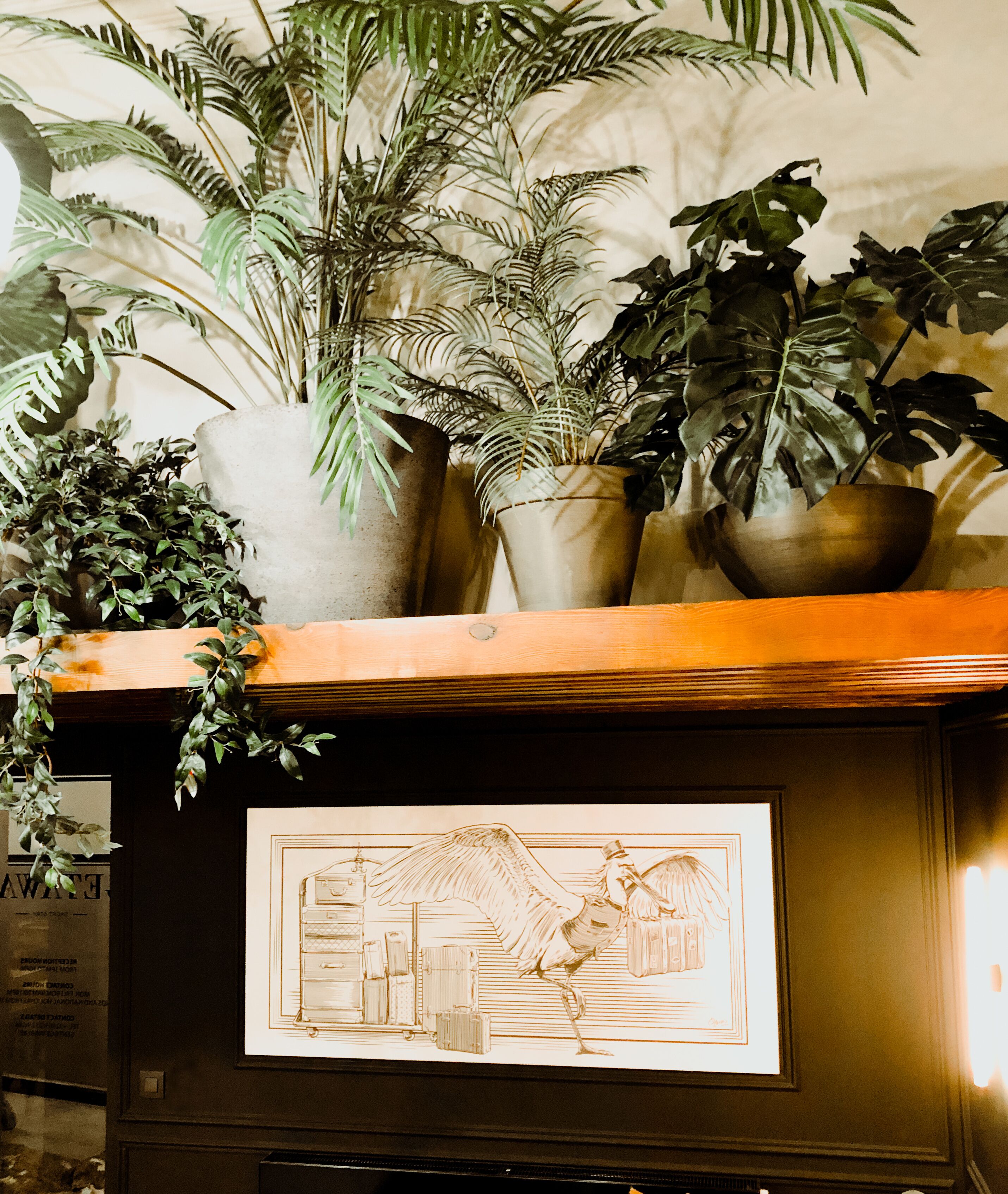 Une cheminée ornée d’un tableau encadré représentant un oiseau et des bagages, le tout entouré de différentes plantes en pot.