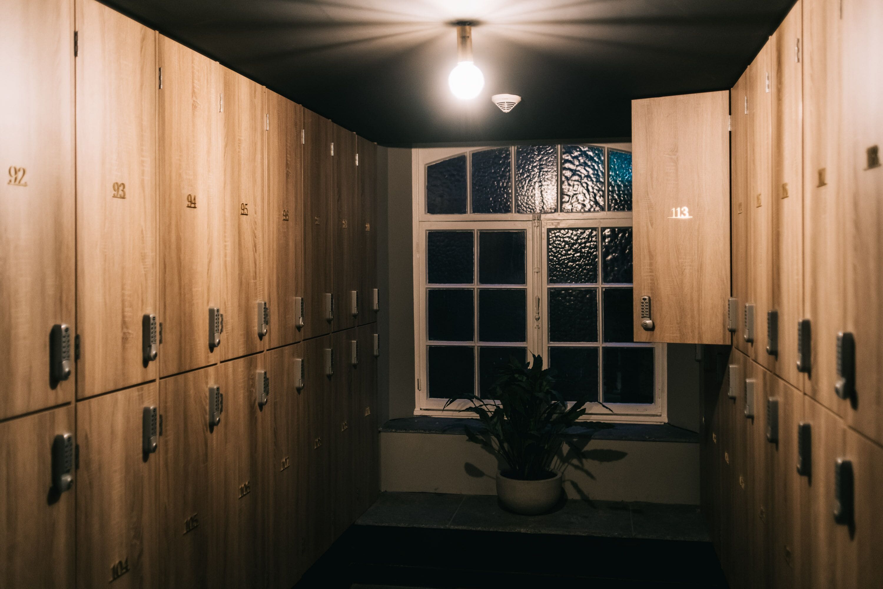 A row of wooden lockers with numbers, a potted plant, and a window with a view.