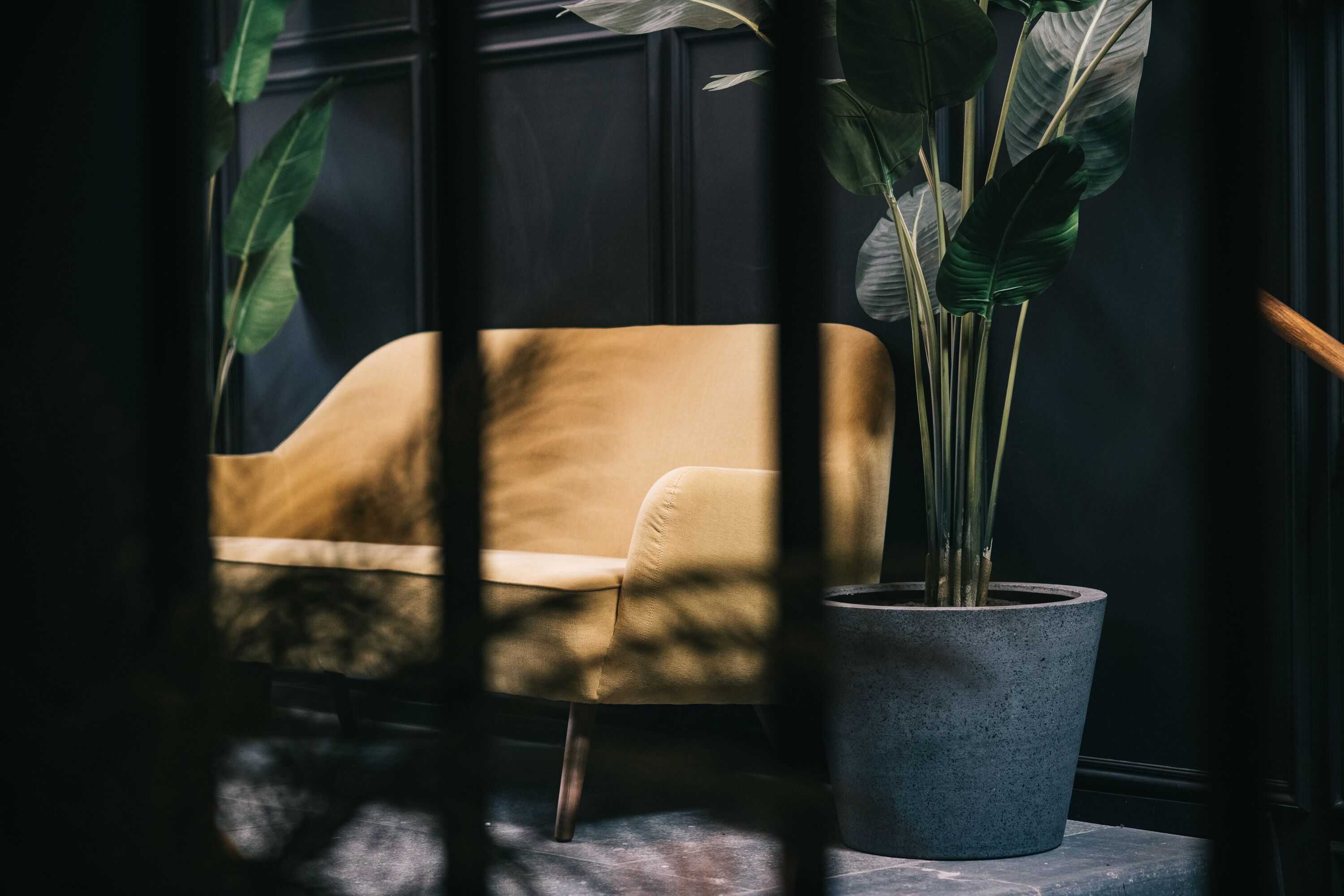 Et værelse med mørk træpanelfacade, en beige sofa og en stor stueplante.