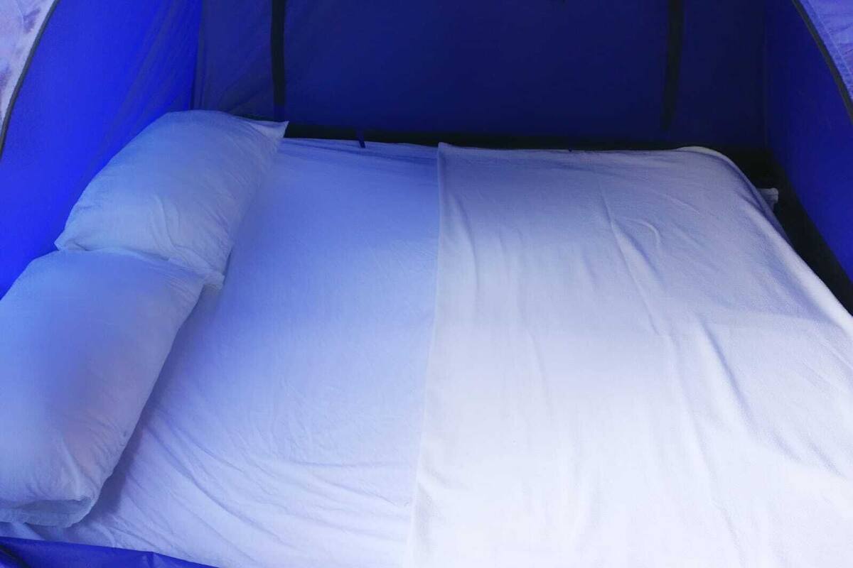 A tent with a bed inside.