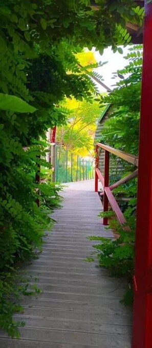 A wooden pathway flanked by greenery, leading to a structure with a red railing. - Mandala Camping - Adults Only (Fethiye)