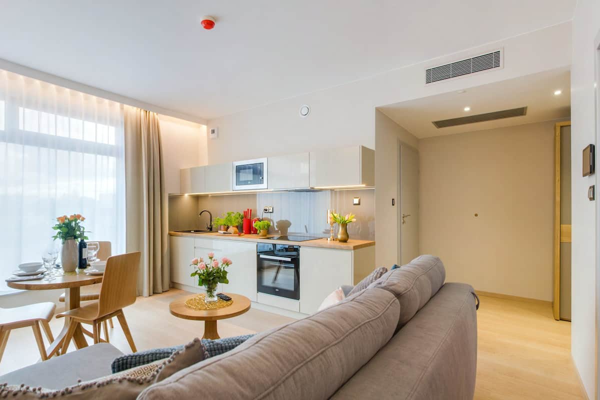 Premium Apartment | Living area | 65-inch Smart TV with satellite channels, TV