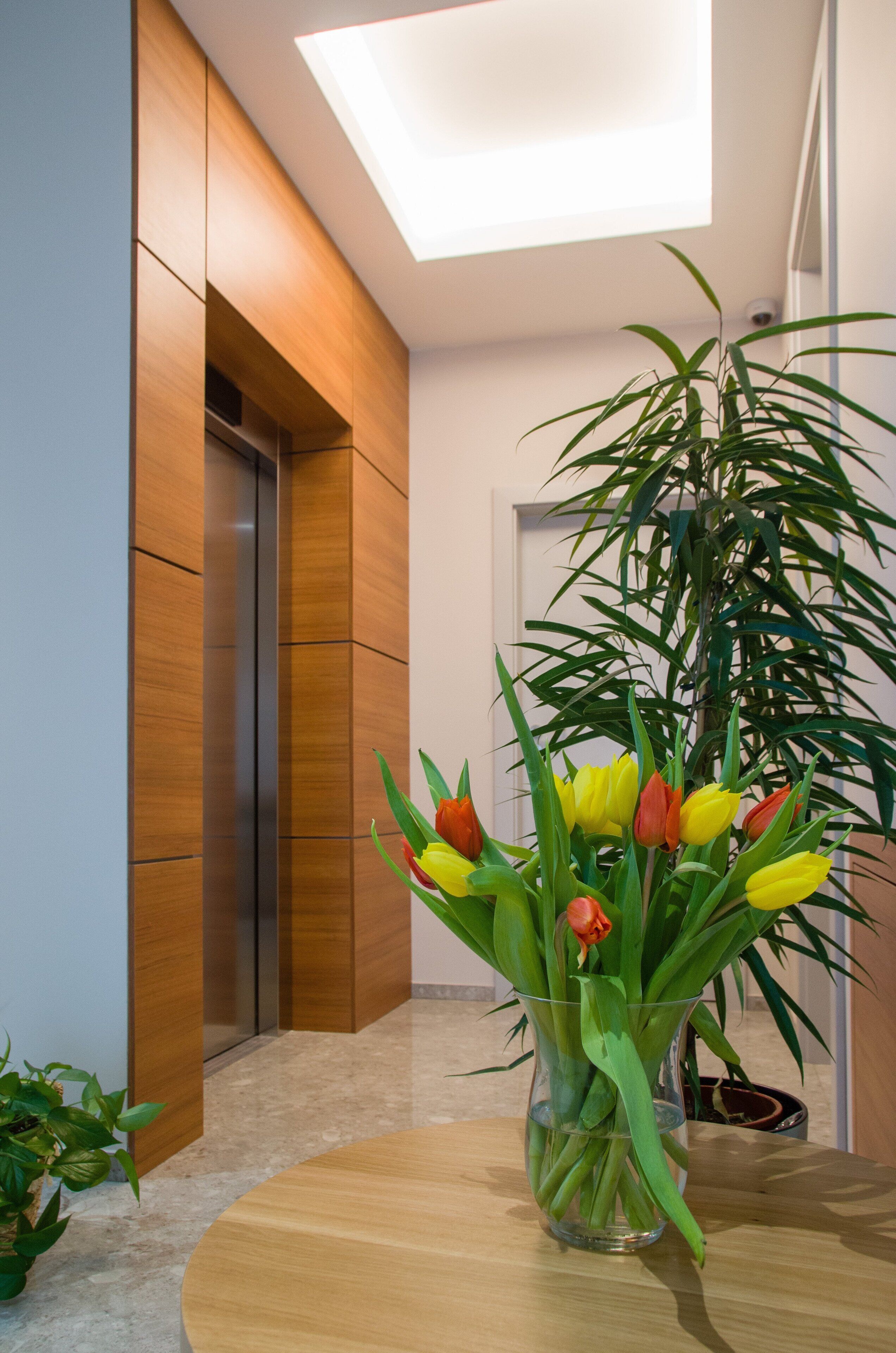 A modern interior with a wooden wall, a glass vase with yellow and orange tulips, and a tall green plant.