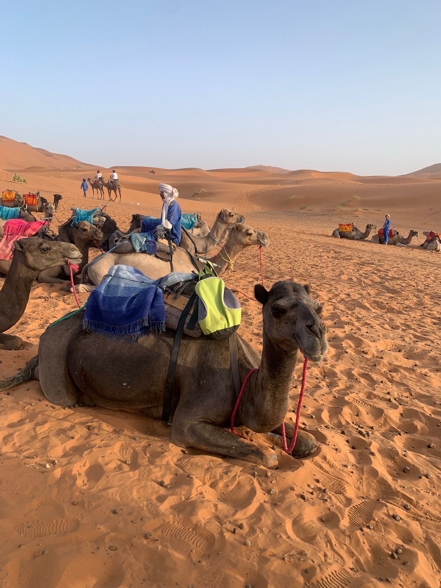 A desert landscape with camels and riders.
