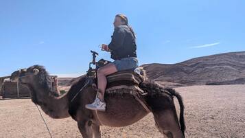 A person riding a camel in a desert setting.
