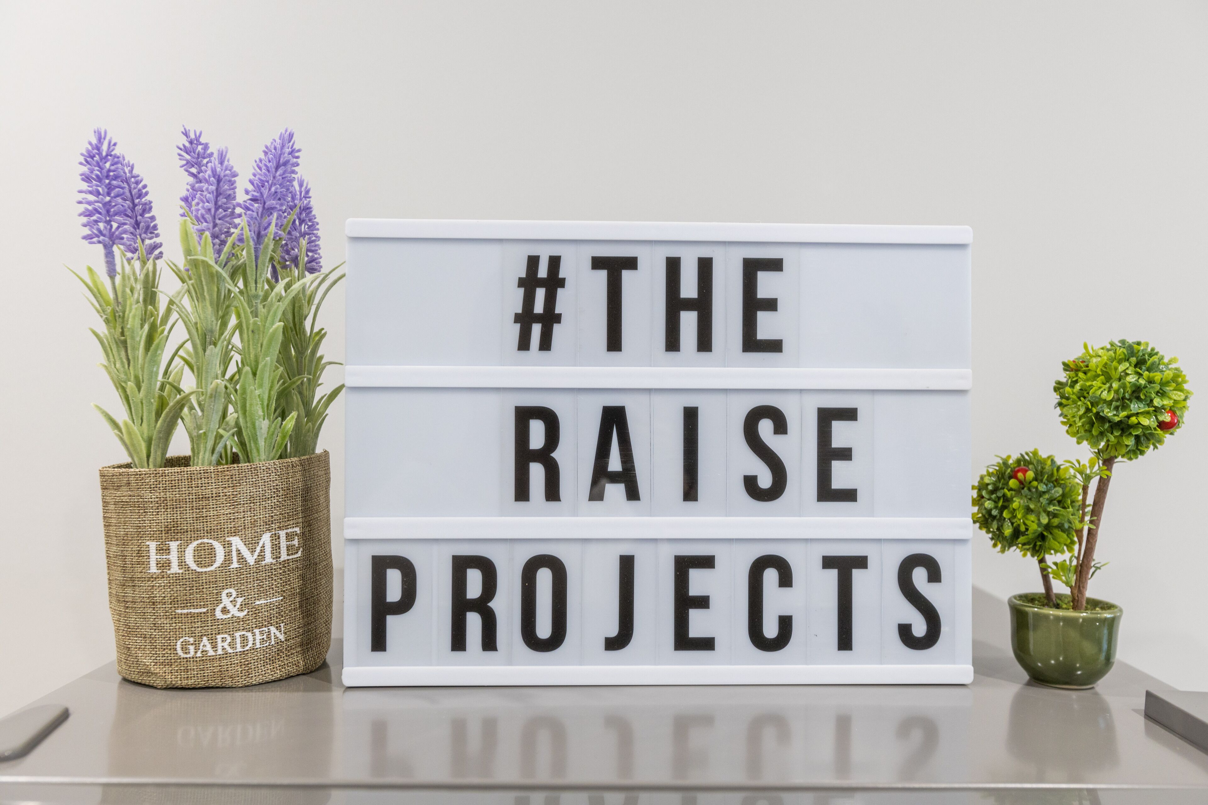 Eine Laterne mit dem Text „#THE RAISE PROJECTS“ und zwei Blumentöpfen, einer mit Lavendel und einer mit Grünpflanzen.