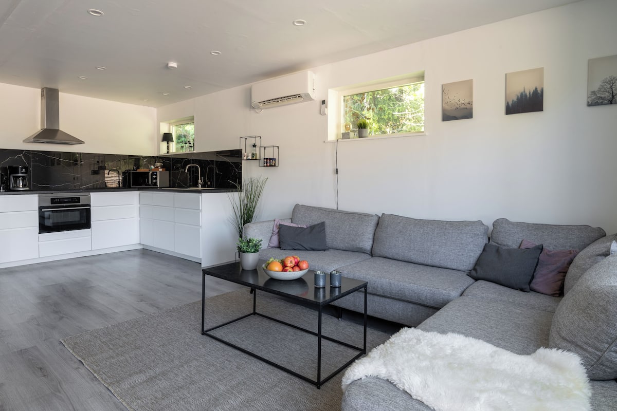 Deluxe appartement | Woonruimte | Een televisie, Netflix, filmpremières en streamingdiensten