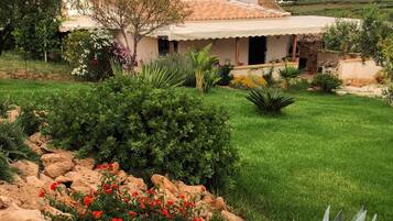 Área da propriedade