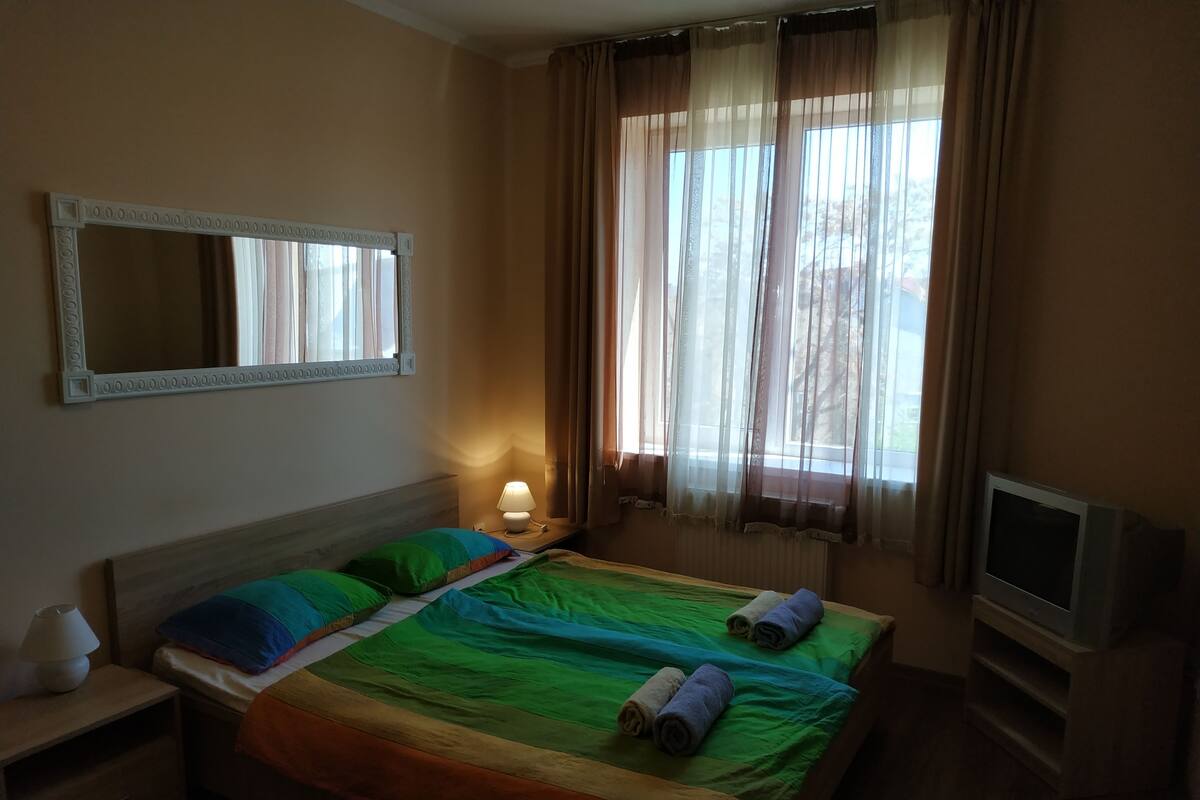 Apartment, 1 Bedroom | 1 bedroom, desk, iron/ironing board, free WiFi