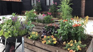 A garden with raised beds of flowers and plants in front of a black wooden house with a tiled roof. - Fazeboons Barn (Woodbridge)