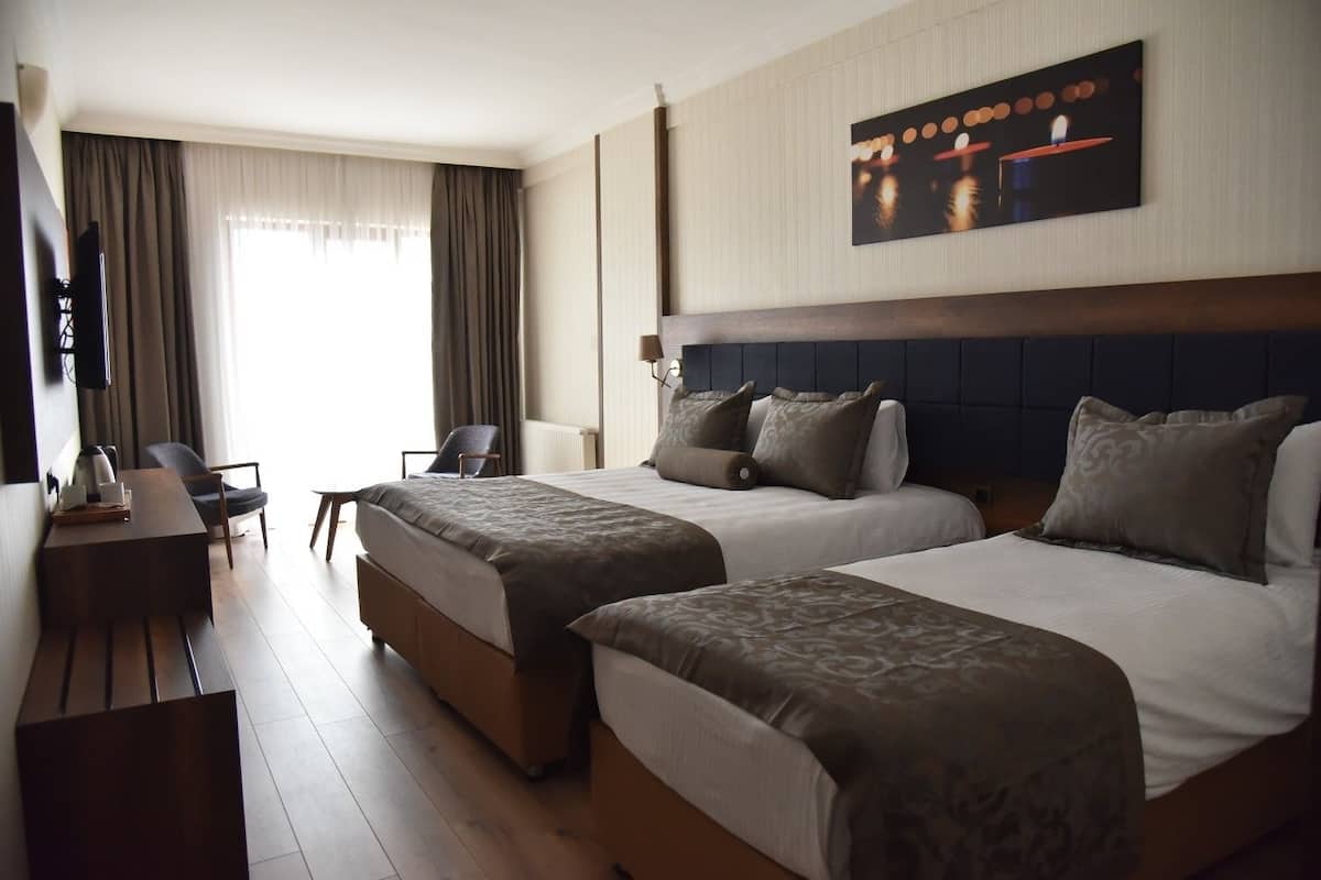 Een gratis minibar, een strijkplank/strijkijzer, gratis wifi