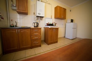 Apartment, 1 Bedroom | Private kitchen | Fridge, microwave, stovetop, electric kettle - Best Apartment in the Center (Mukachevo)