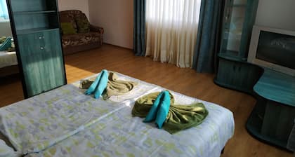 VIP Apartments in the Centre