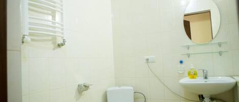A bathroom with a toilet, sink, and mirror.