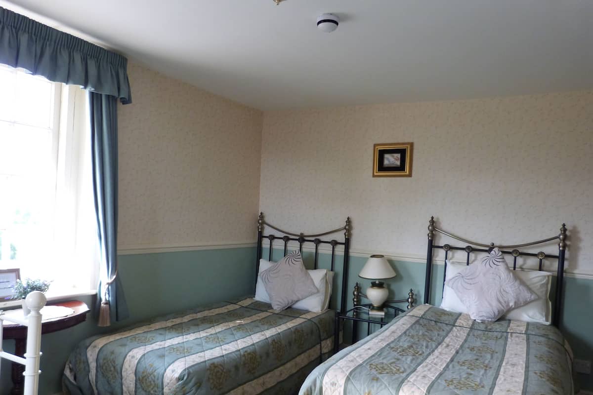 Two single beds with matching headboards and footboards, a bedside table with a lamp, and a small framed picture on the wall.