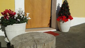 Eine Holztür, zwei große Pflanzgefäße mit Blumen und eine kleine Weihnachtstanne.