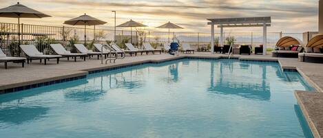 En swimmingpool med liggestole og parasoller, omgivet af et hegn.