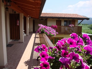 Property grounds - Ai Casali (Cividale del Friuli)