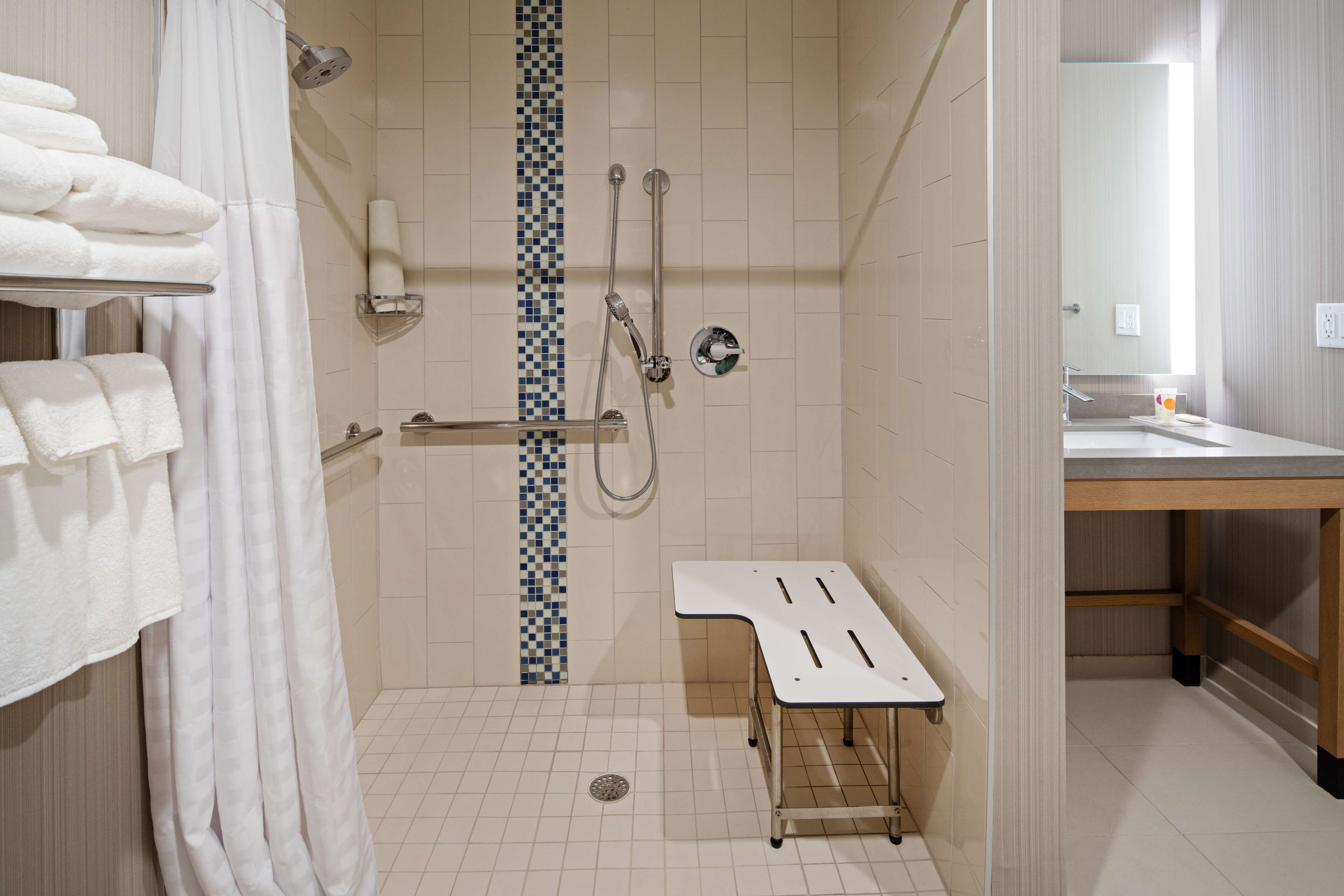 room, 1 king bed with sofa bed, accessible (shower) | bathroom | free toiletries, hair dryer, towels, soap