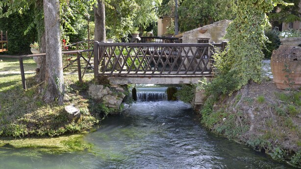 Jardín