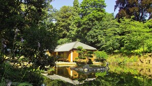 Une maison traditionnelle de style japonais, avec un toit recouvert de tuiles, entourée d’une végétation luxuriante et bordée d’un étang paisible.