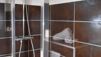 Badkamer met douche