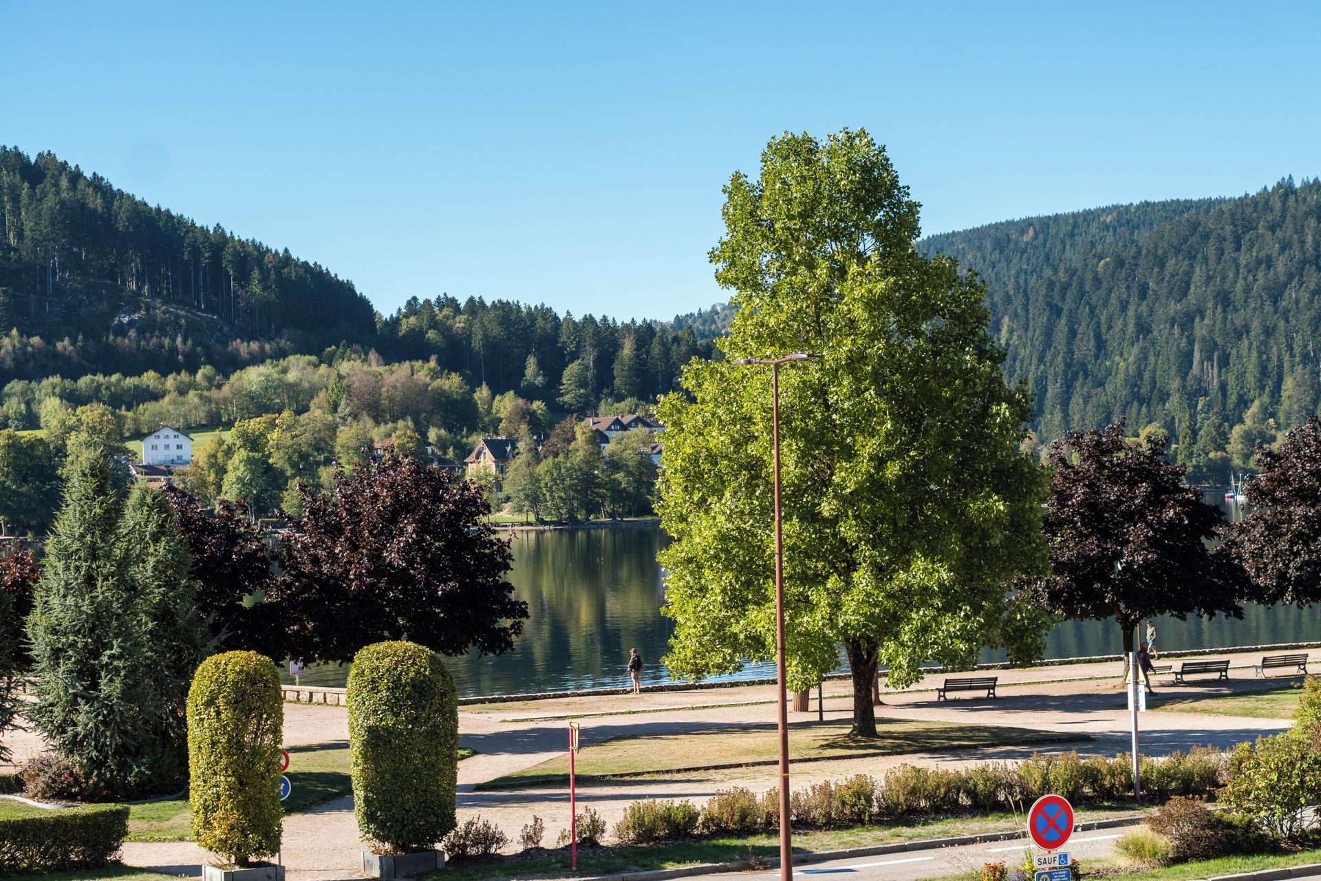 A lakeside view with a park, benches, and a clear sky.