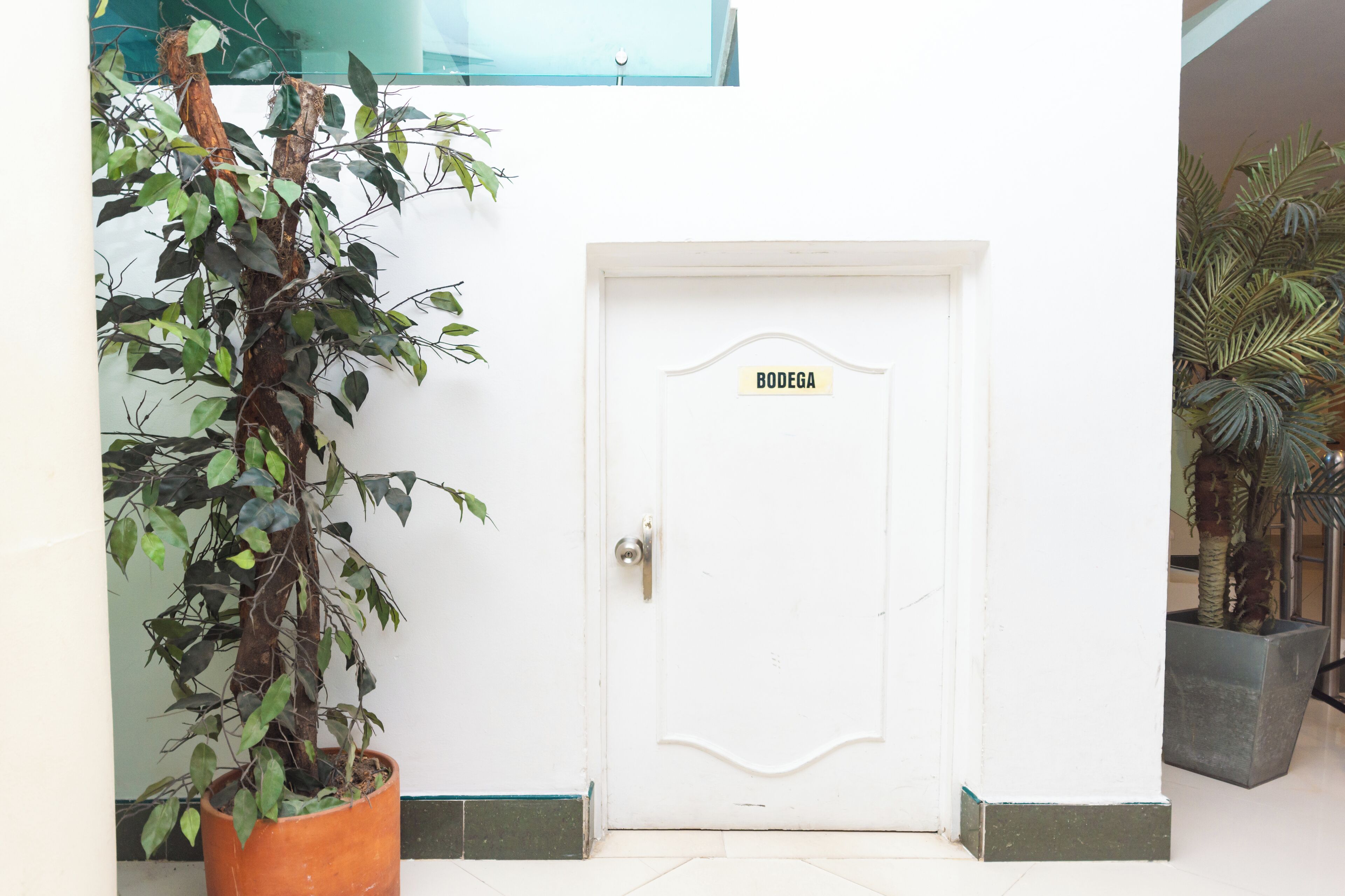 Photo - Hotel Villa Real