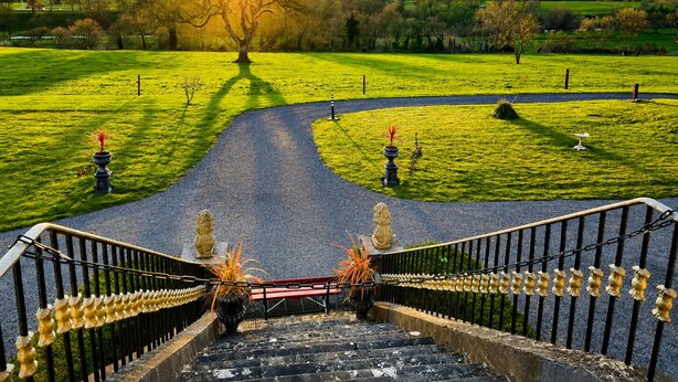A staircase leading to a park with a large tree in the background. - Nore View House (Dunbell)
