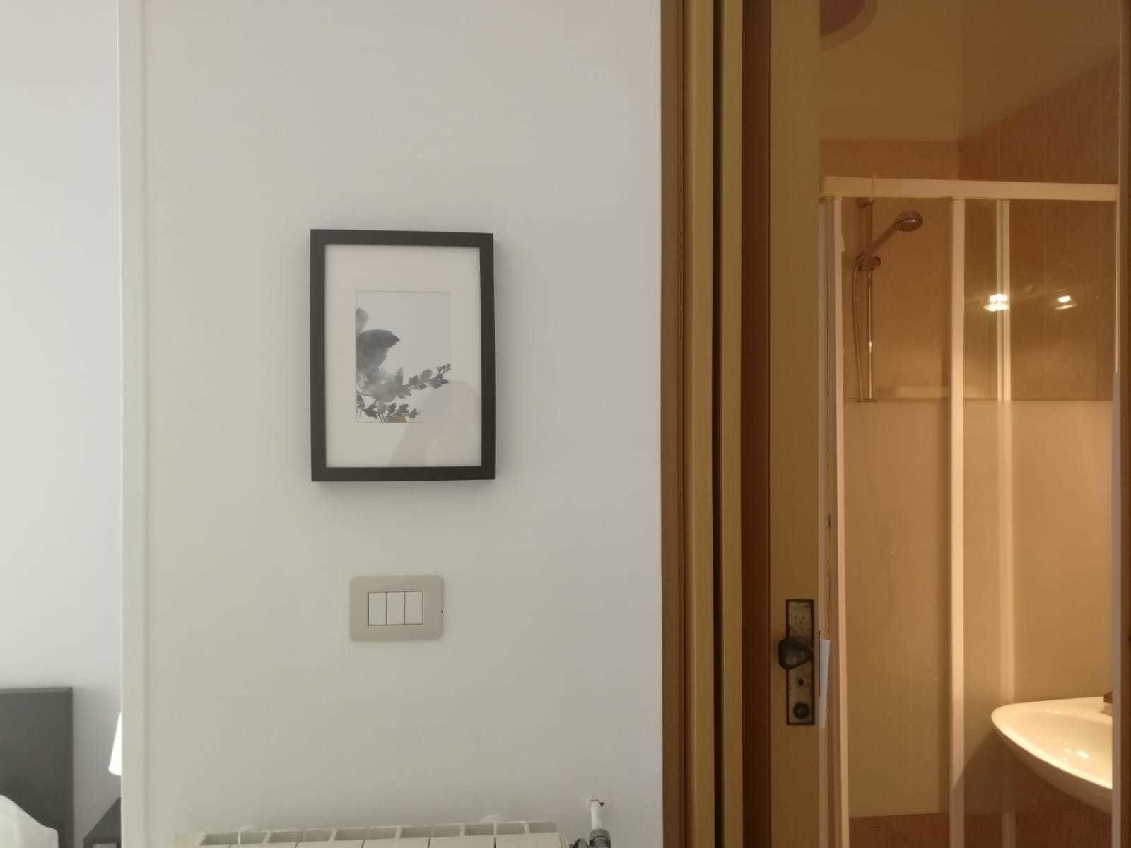 Foto - Gatto Bianco Picone 19