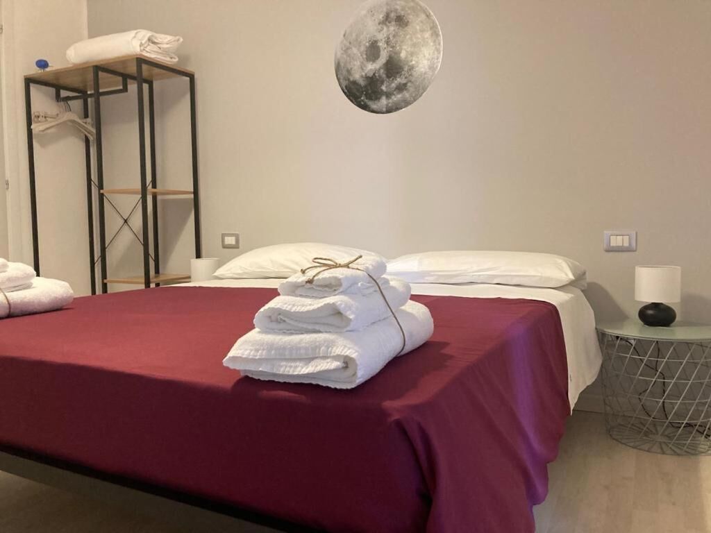 Foto - Gatto Bianco Picone 19