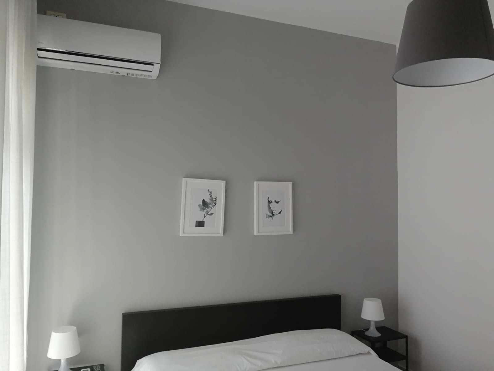 Foto - Gatto Bianco Picone 19