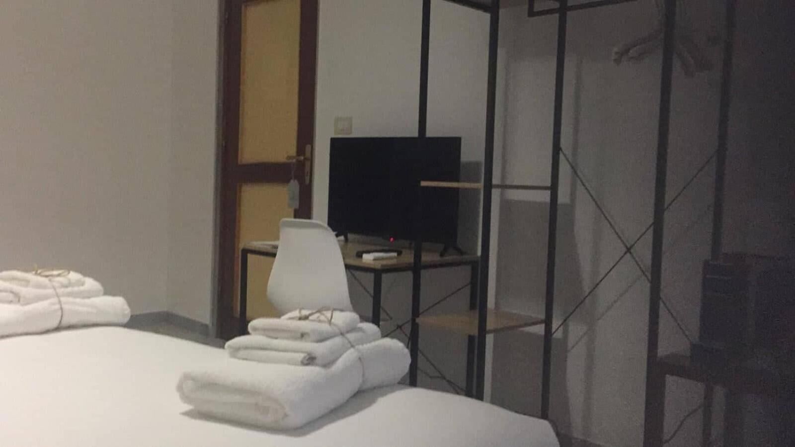 Foto - Gatto Bianco Picone 19