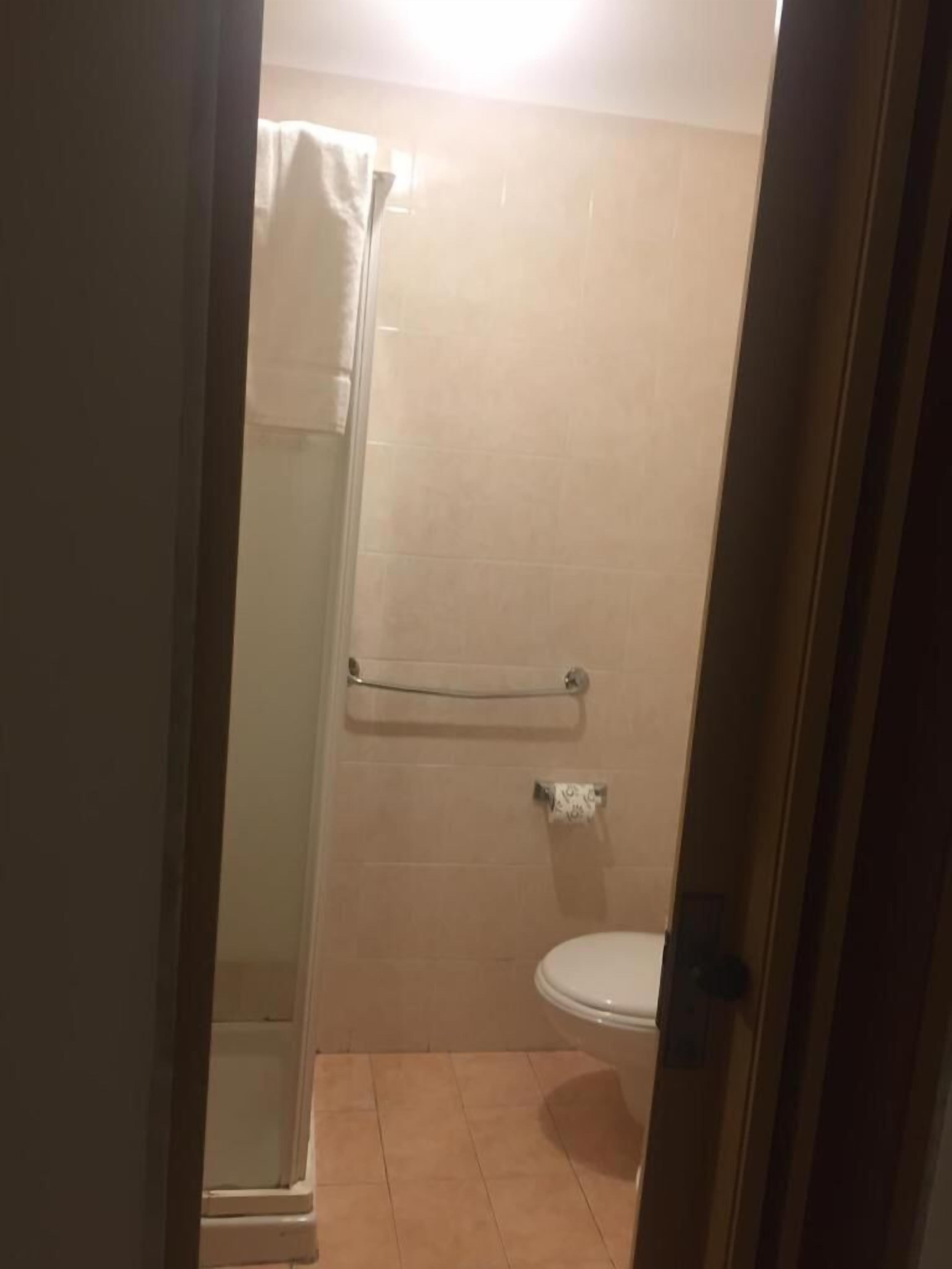 Foto - Gatto Bianco Picone 19