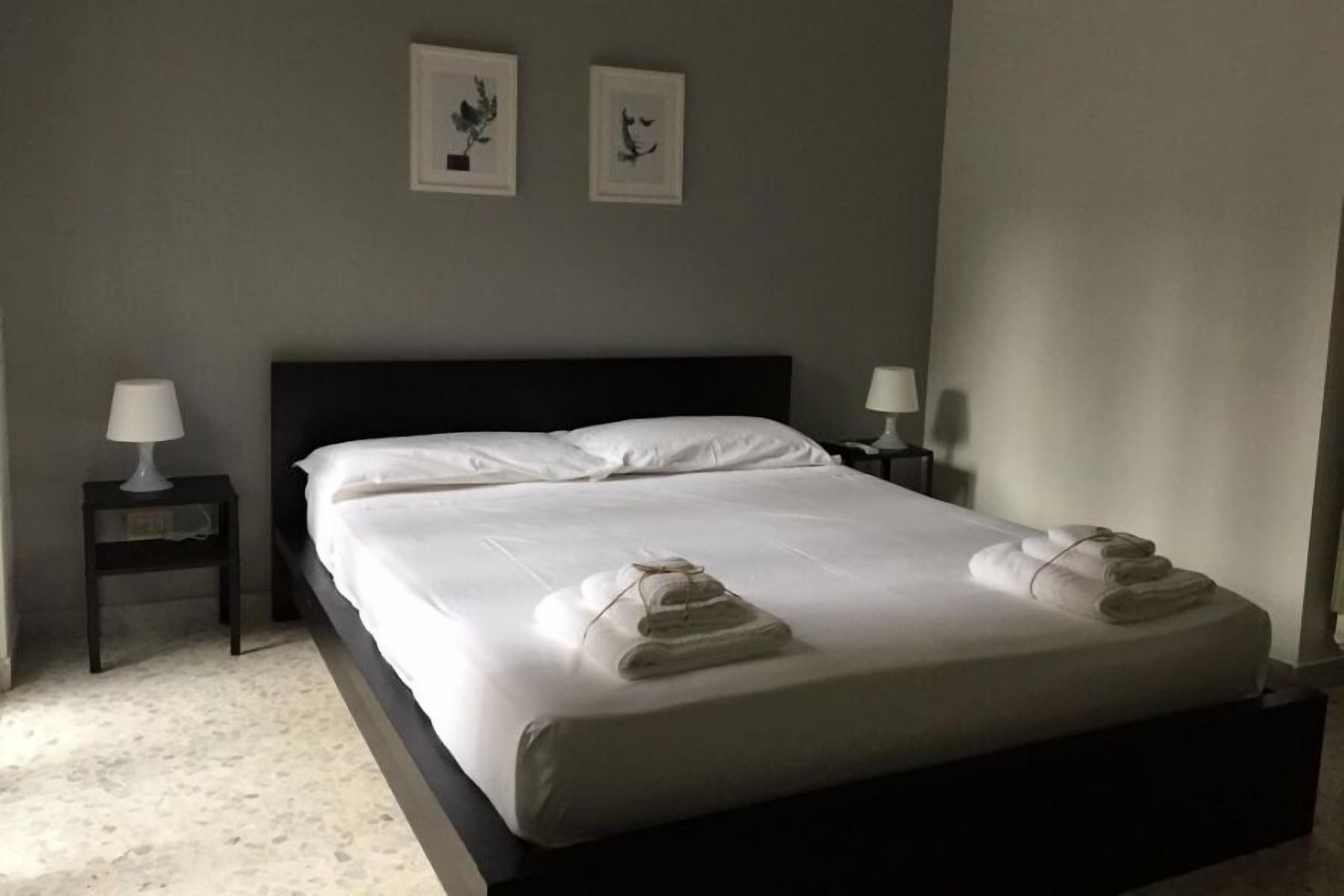 Foto - Gatto Bianco Picone 19