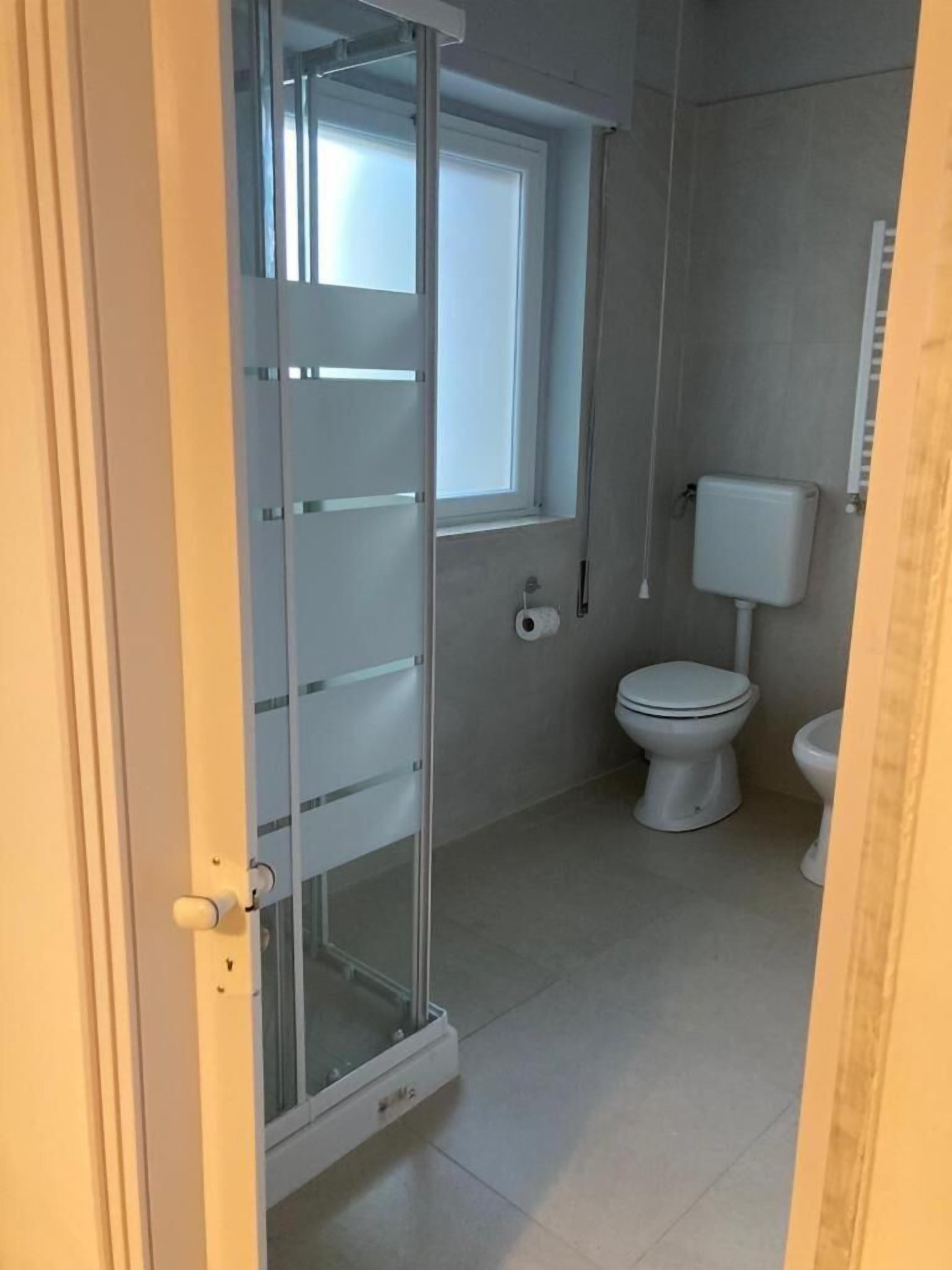 Foto - Gatto Bianco Picone 19