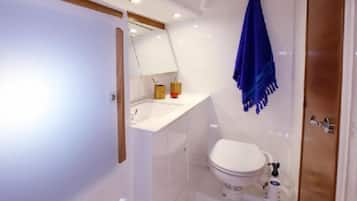 Room | Bathroom | Shower, towels, soap, toilet paper