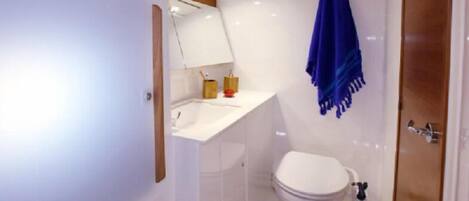 Room | Bathroom | Shower, towels, soap, toilet paper