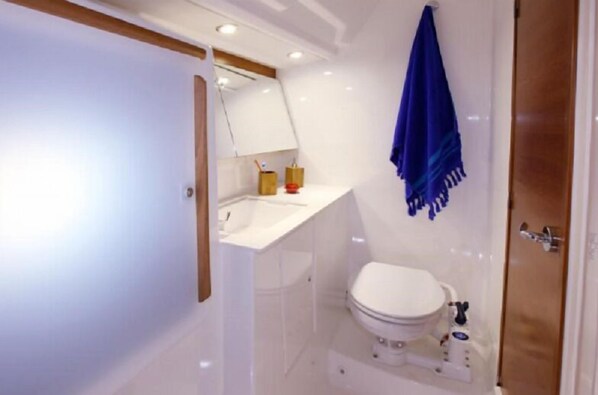 Habitación | Baño | Regadera, toallas, jabón, papel de baño 