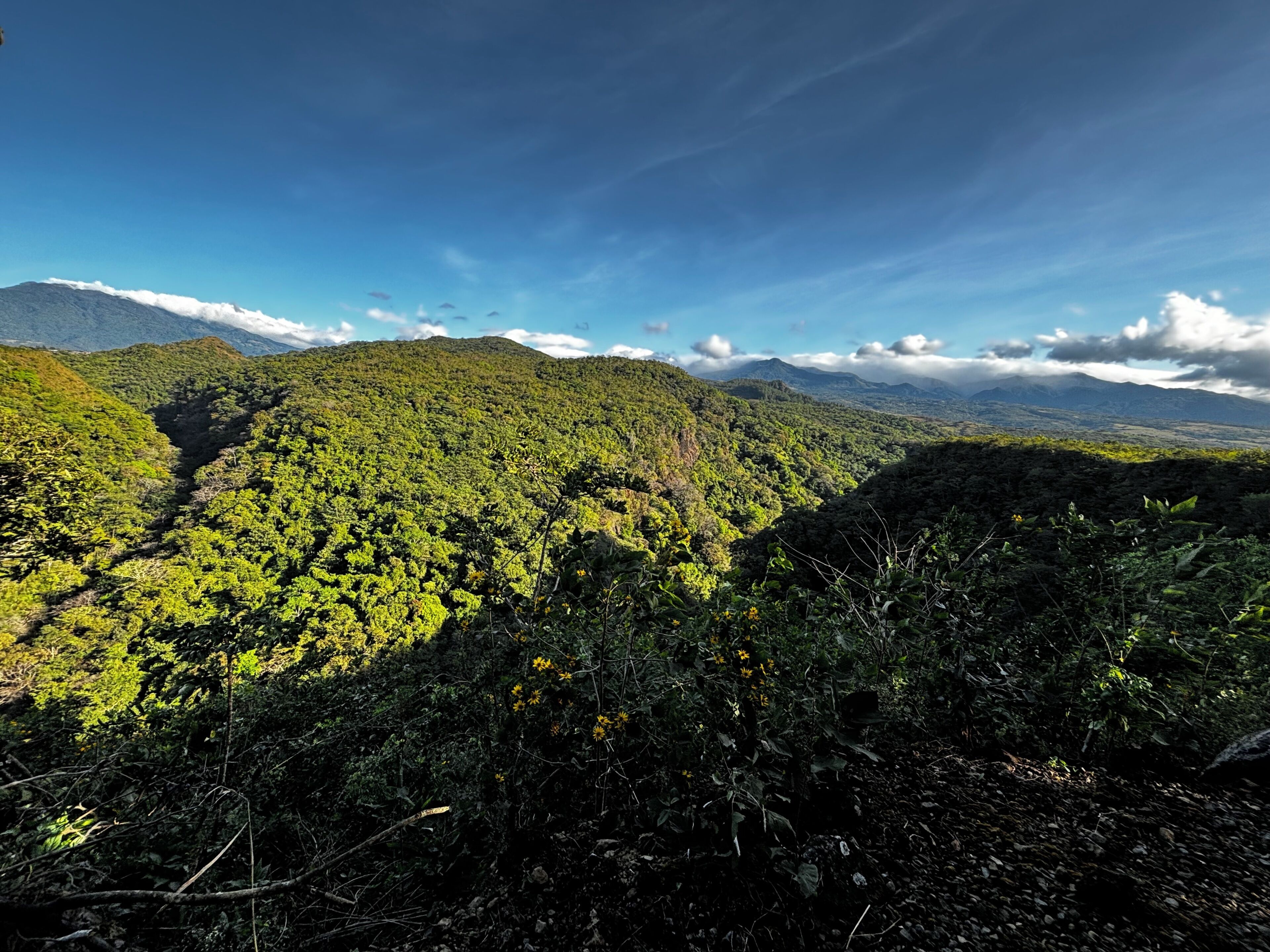A mountainous landscape with dense green vegetation and a clear sky.