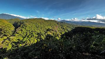 A mountainous landscape with dense green vegetation and a clear sky.