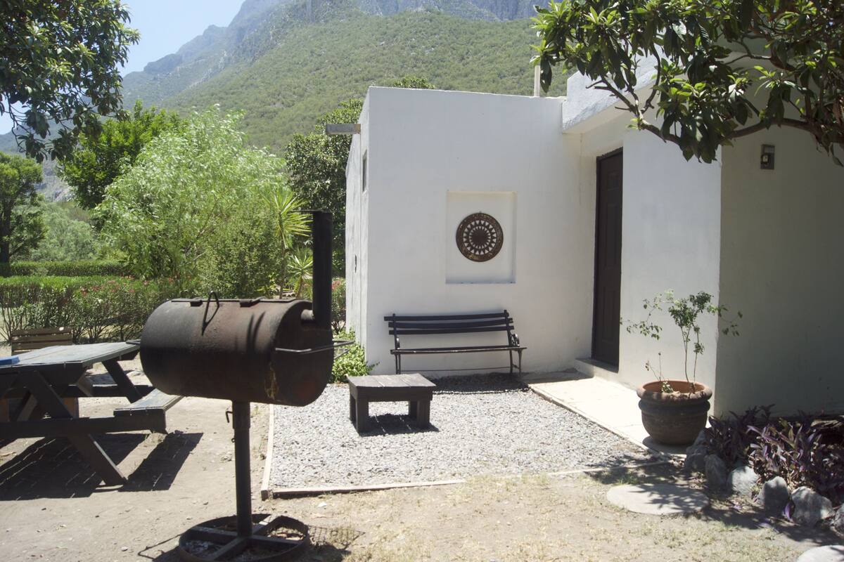 Un patio al aire libre con una parrilla, un banco y una planta en maceta.